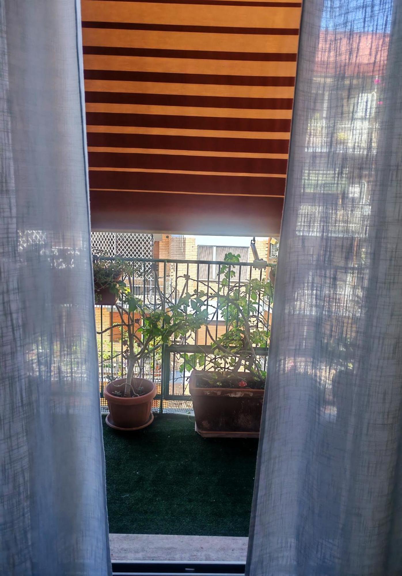 Casa Gesi Appartamento Roma